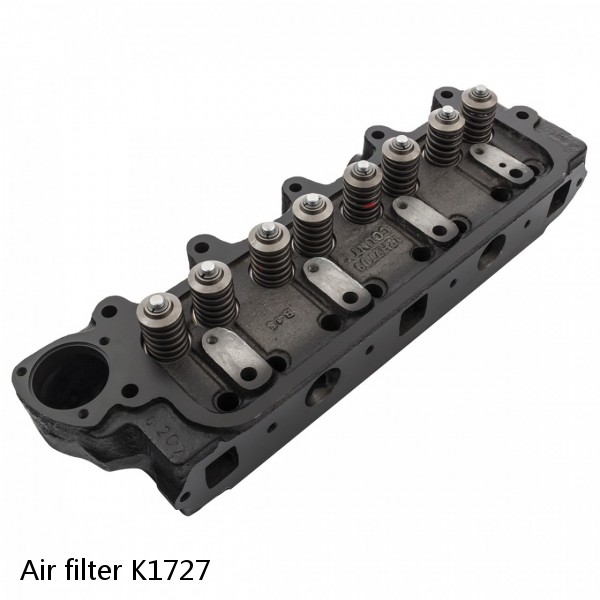Air filter K1727