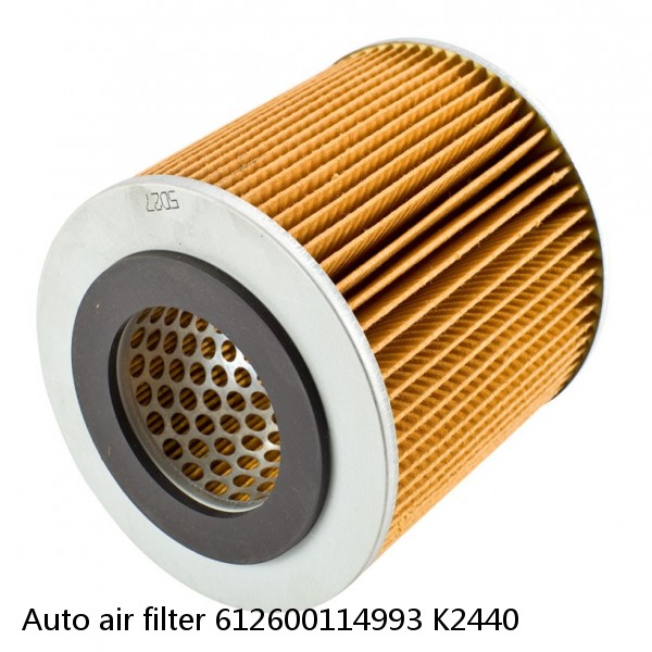 Auto air filter 612600114993 K2440