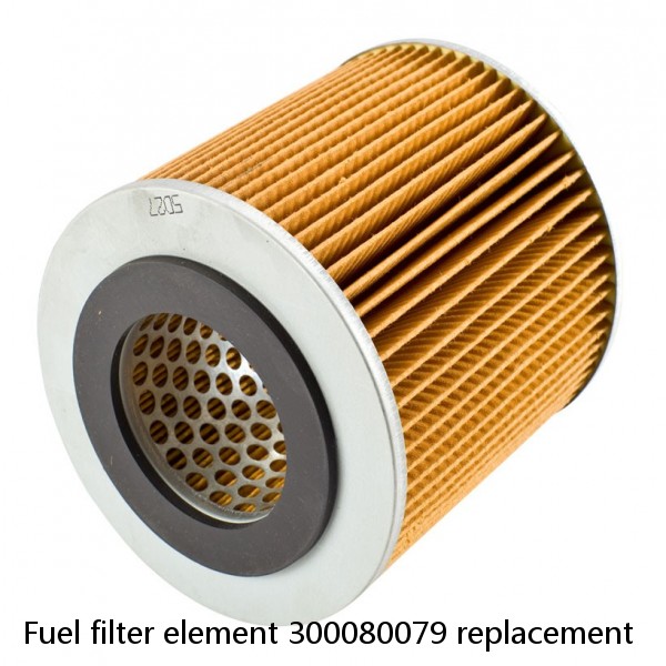 Fuel filter element 300080079 replacement