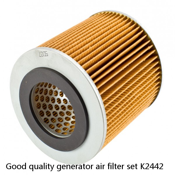 Good quality generator air filter set K2442 #1 image